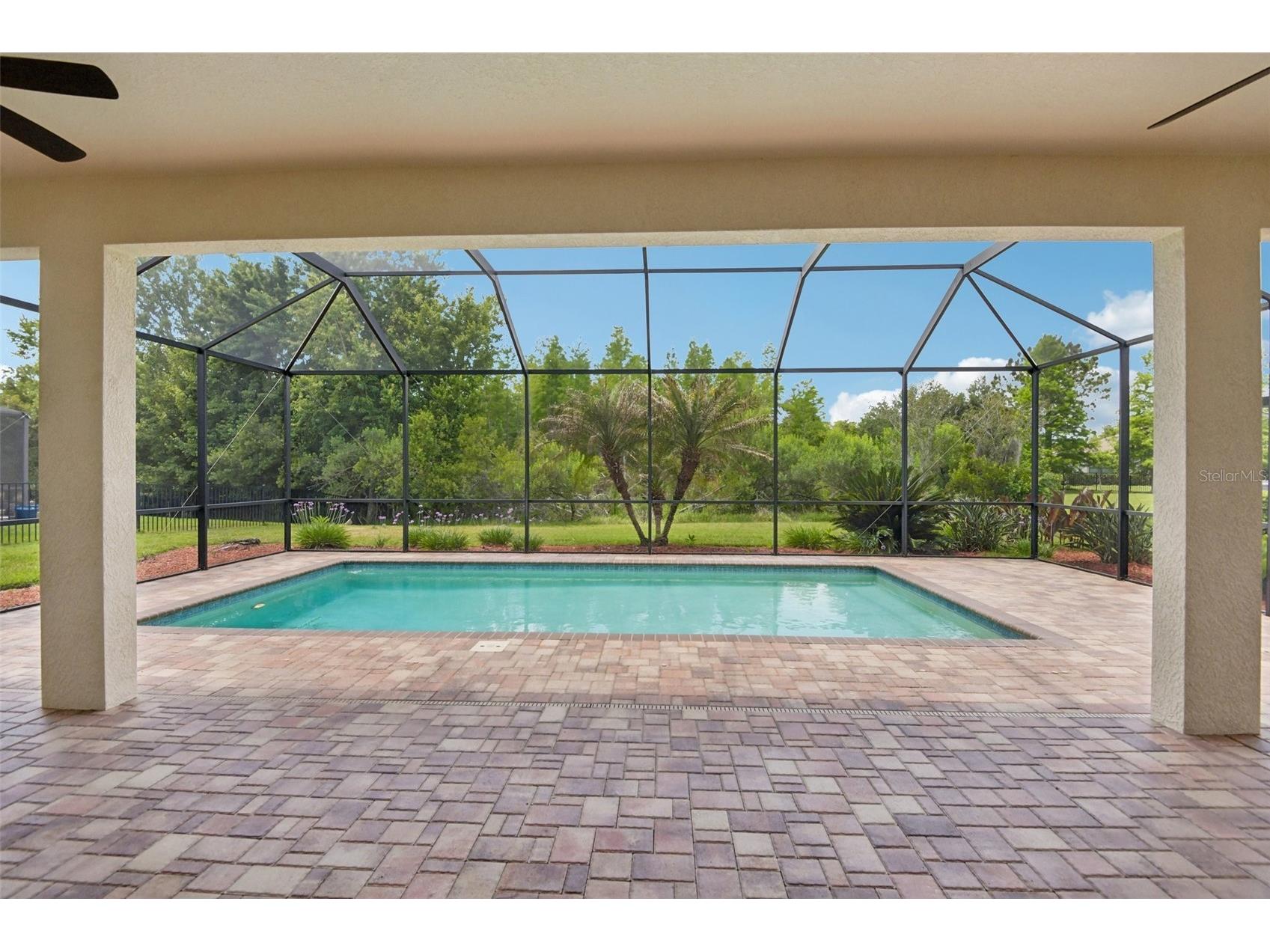 8355 Swiss Chard Circle Land O Lakes FL 34637 TB8504214 image32