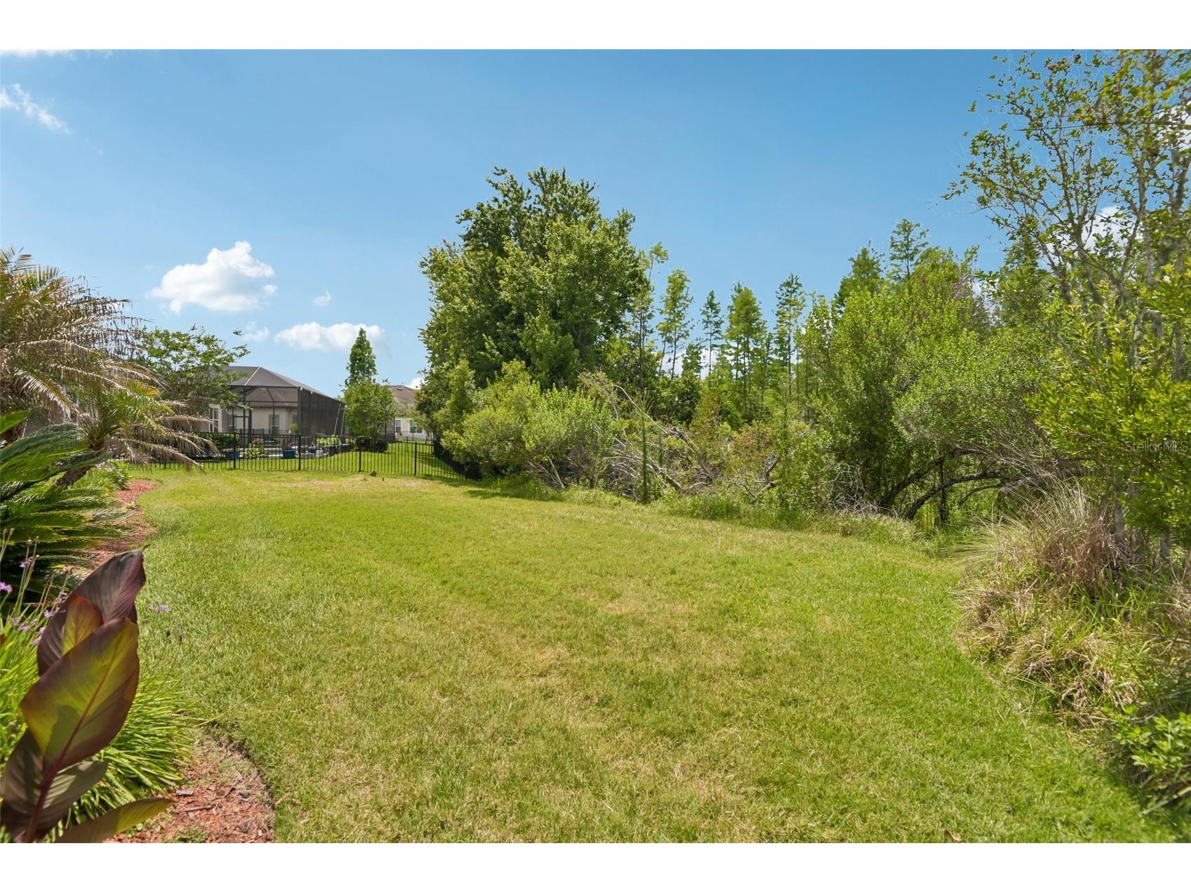 8355 Swiss Chard Circle Land O Lakes FL 34637 TB8504214 image34