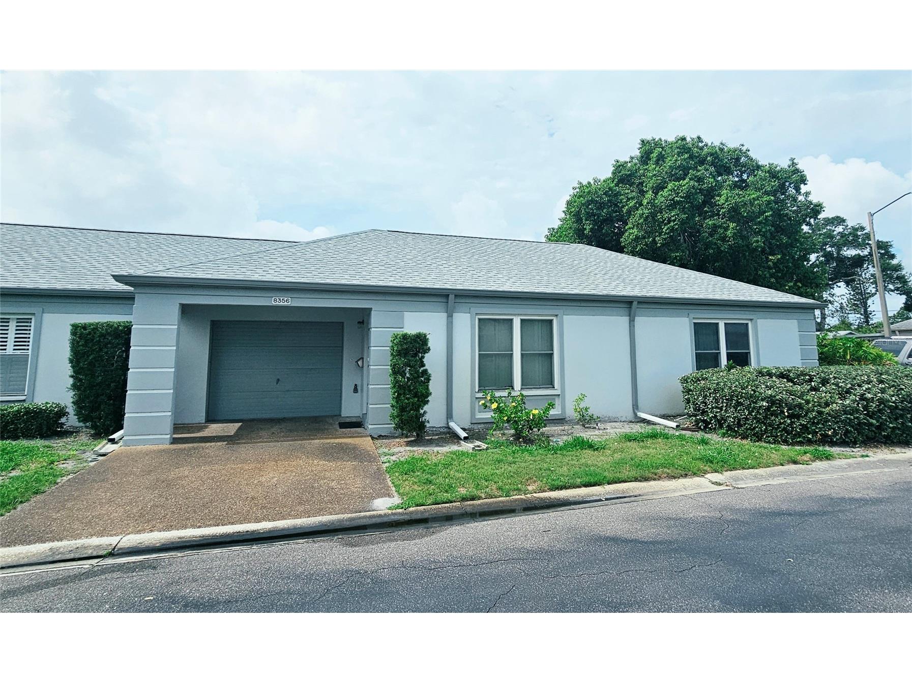 8356 Candlewood Road #8356 Seminole FL 33777 TB8515305 image1