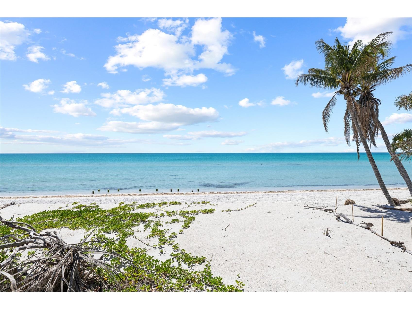8356 Little Gasparilla Island Placida FL 33946 - GULF OF MEXICO TB8501728 image20