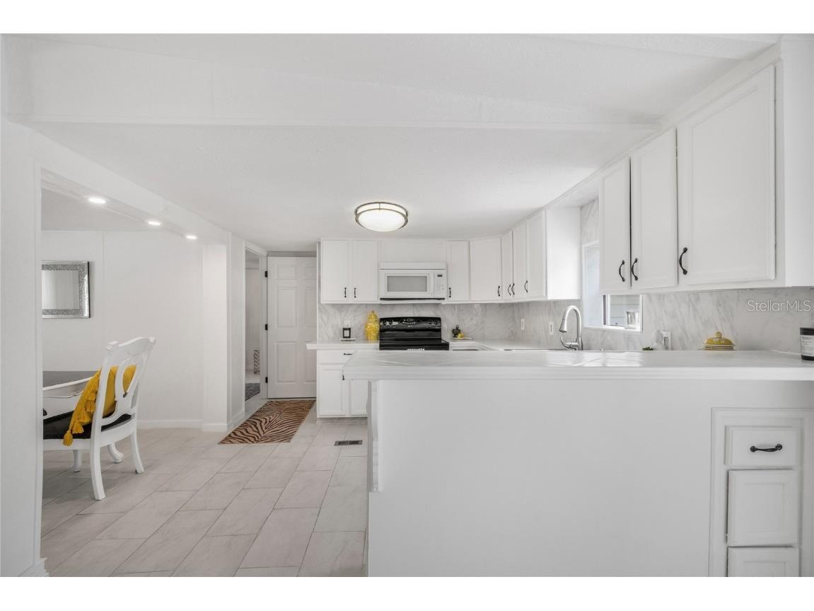 8356 W Tawny Rose Crystal River FL 34429 TB8393176 image8