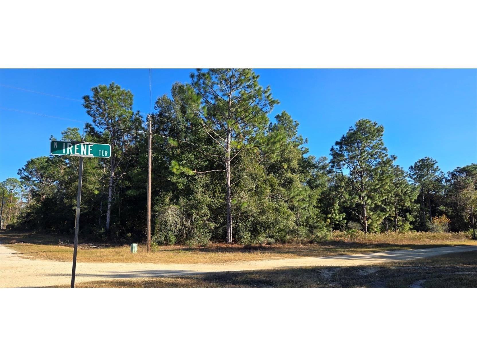 8359 N Irene Terrace Crystal River FL 34428 W7870664 image1