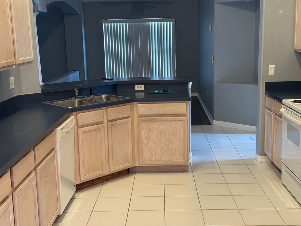836 Cassia Drive Davenport FL 33897 O6418665 image4
