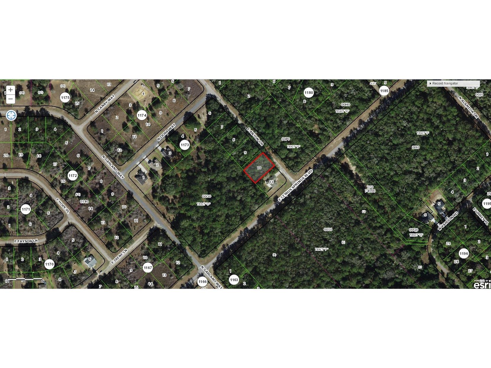 836 E Anton Drive Citrus Springs FL 34434 C7490481 image1