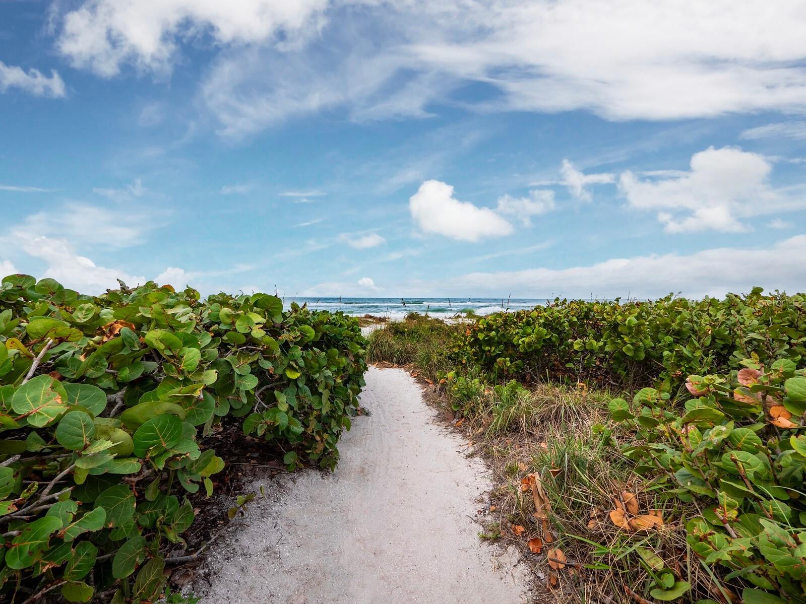 836 Evergreen Way Longboat Key FL 34228 - SARASOTA BAY A4674750 image49