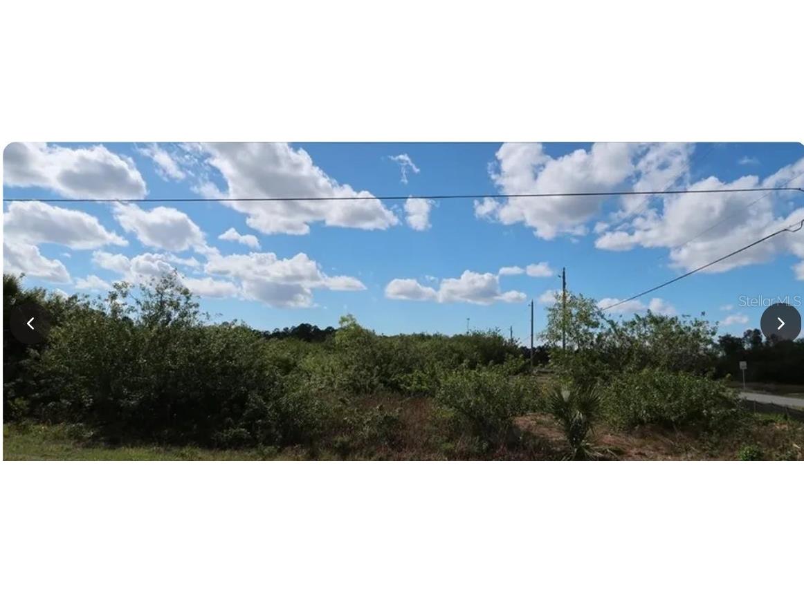 836 Neuse Avenue Fort Myers FL 33913 N6144482 image1