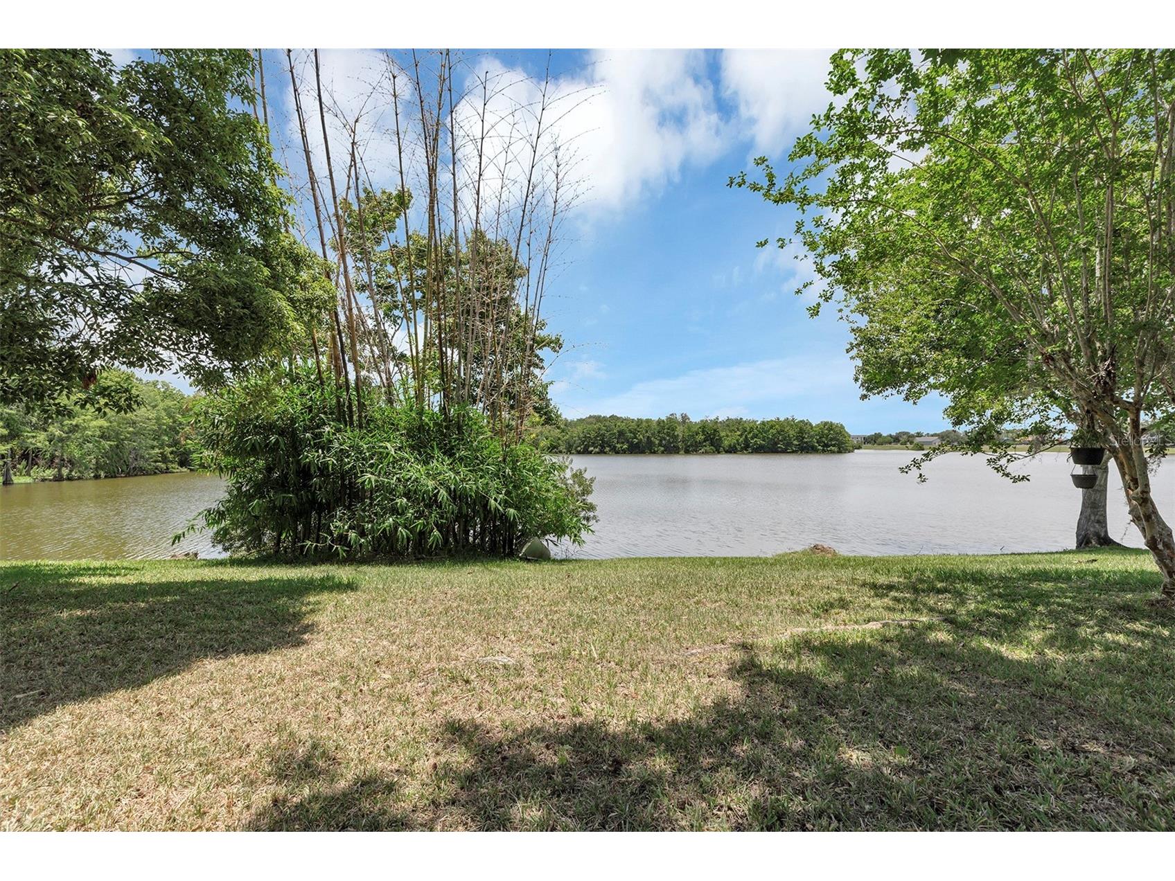 8360 Fort Clinch Avenue Orlando FL 32822 O6414842 image32