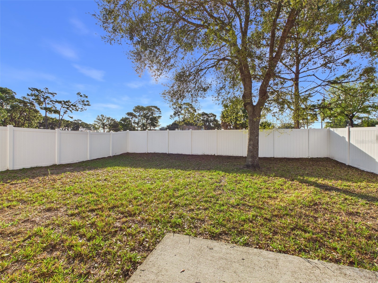 8361 Silverbell Loop Brooksville FL 34613 OM720951 image37