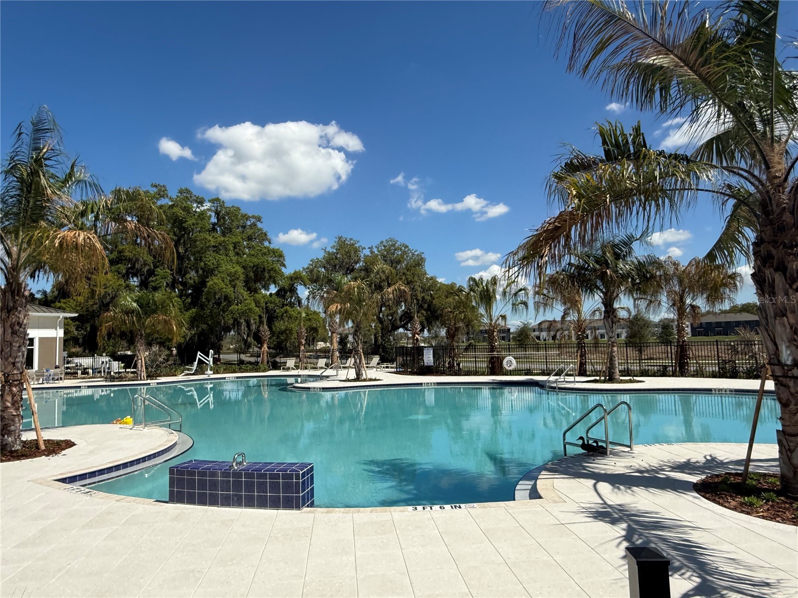 8362 Gower Trail Wildwood FL 34785 OM723137 image36