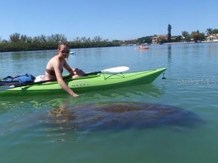 8362 Santa Cruz Drive Port Charlotte FL 33981 D6146170 image13