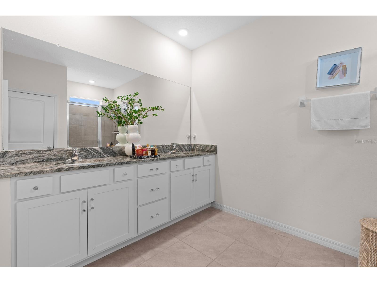 8362 Wheat Stone Drive Zephyrhills FL 33540 TB8501960 image22
