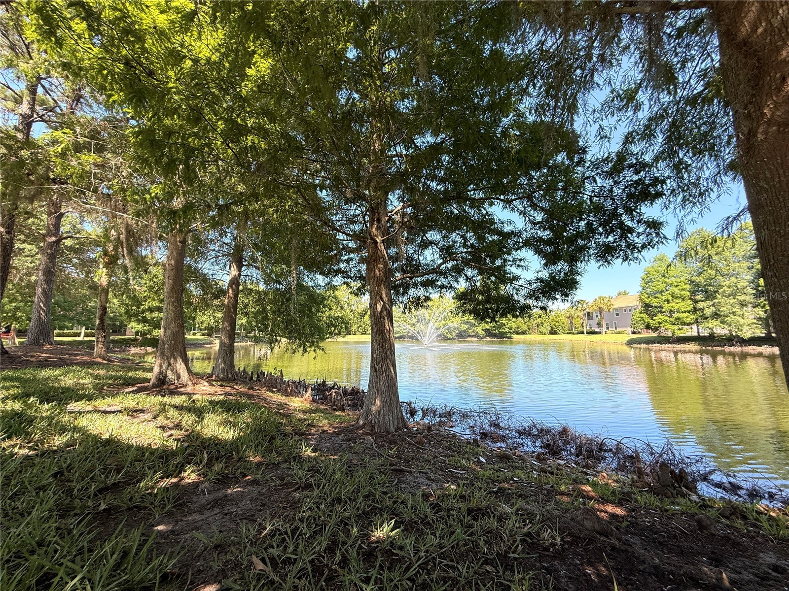8363 Bella Tierra Ct Davenport FL 33896 S5149600 image13