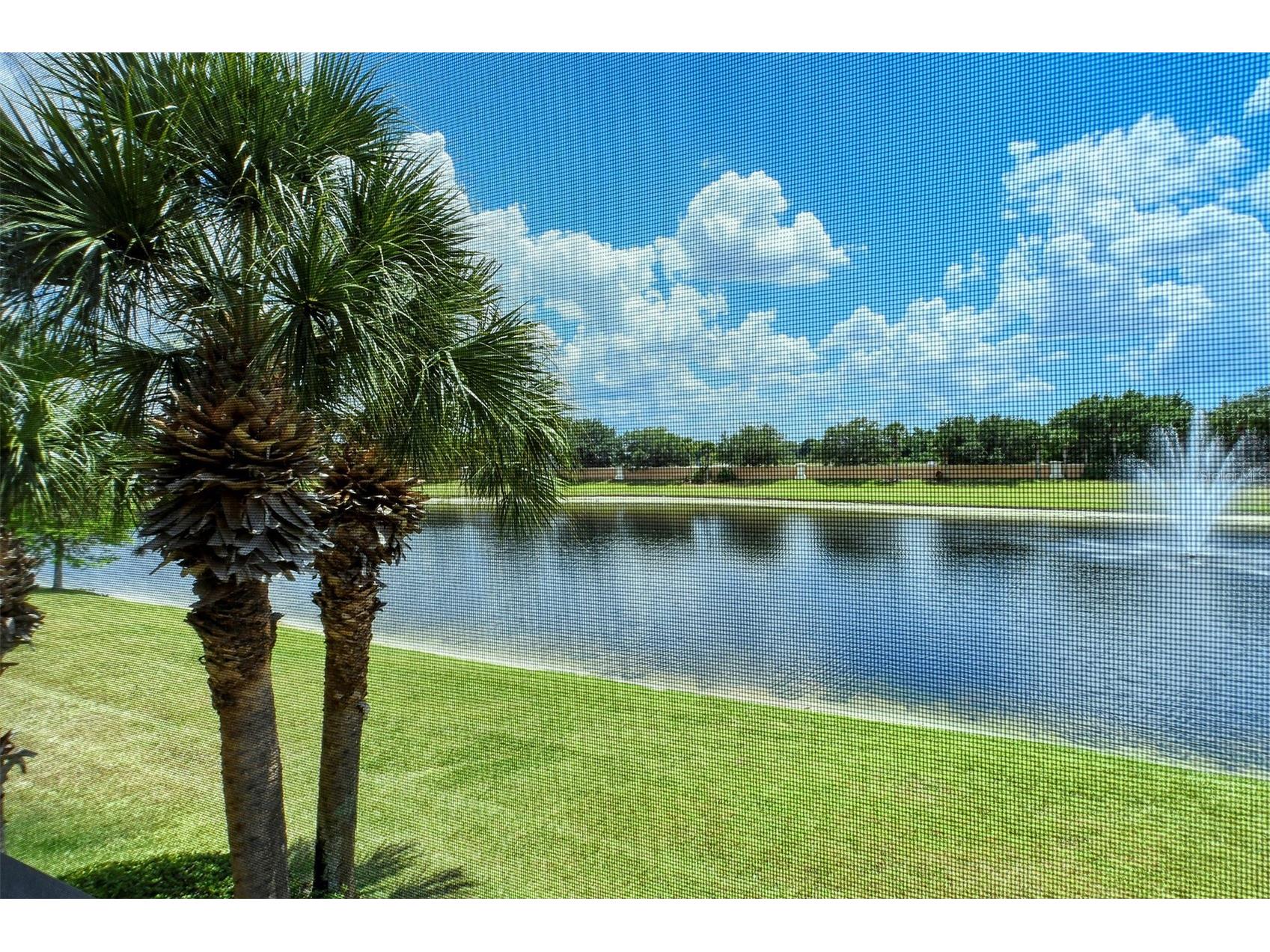 8363 Miramar Way #203 Lakewood Ranch FL 34202 A4682736 image8