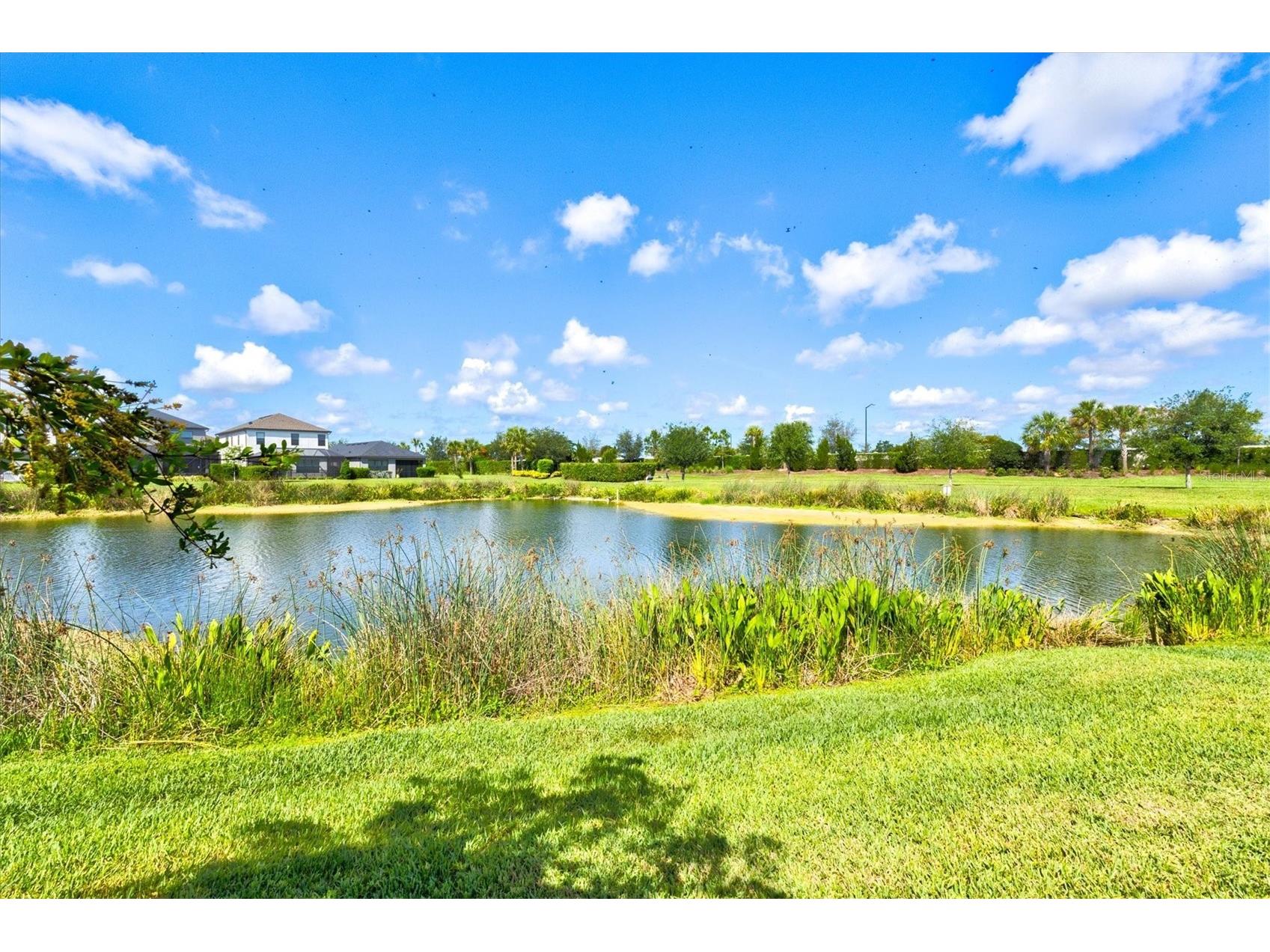 8363 Velda Trail Sarasota FL 34241 A4694698 image45