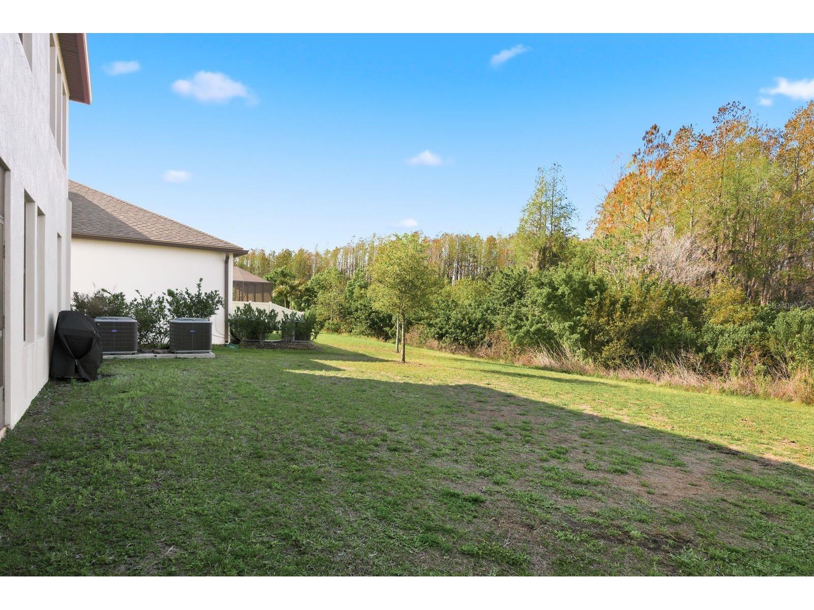 8364 Capstone Ranch Drive New Port Richey FL 34655 TB8487474 image42