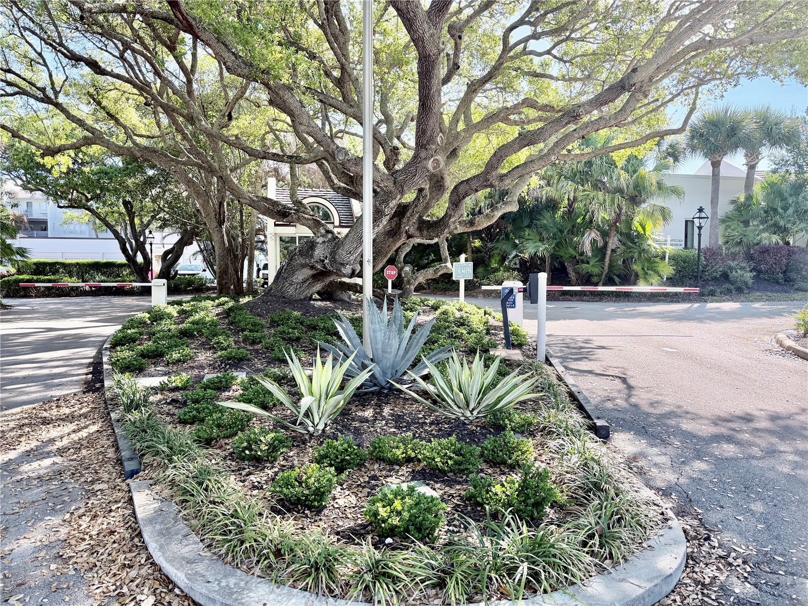 8365 Baytree Drive #8365 Vero Beach FL 32963 - ATLANTIC OCEAN O6393702 image33