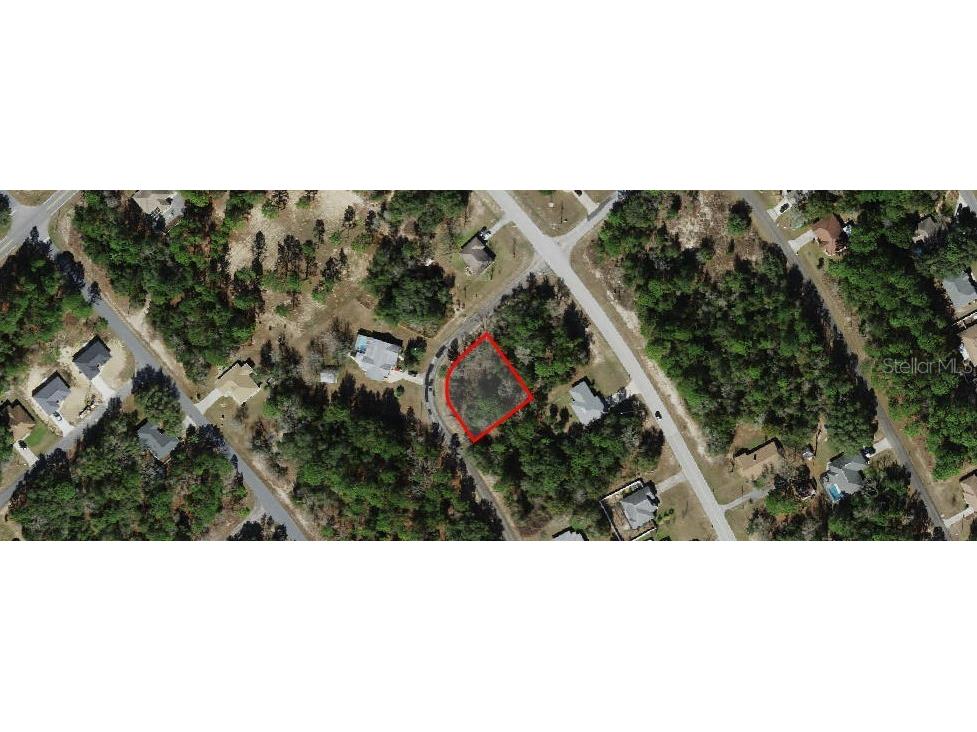 8365 N Ibsen Drive Citrus Springs FL 34433 OM696019 image11