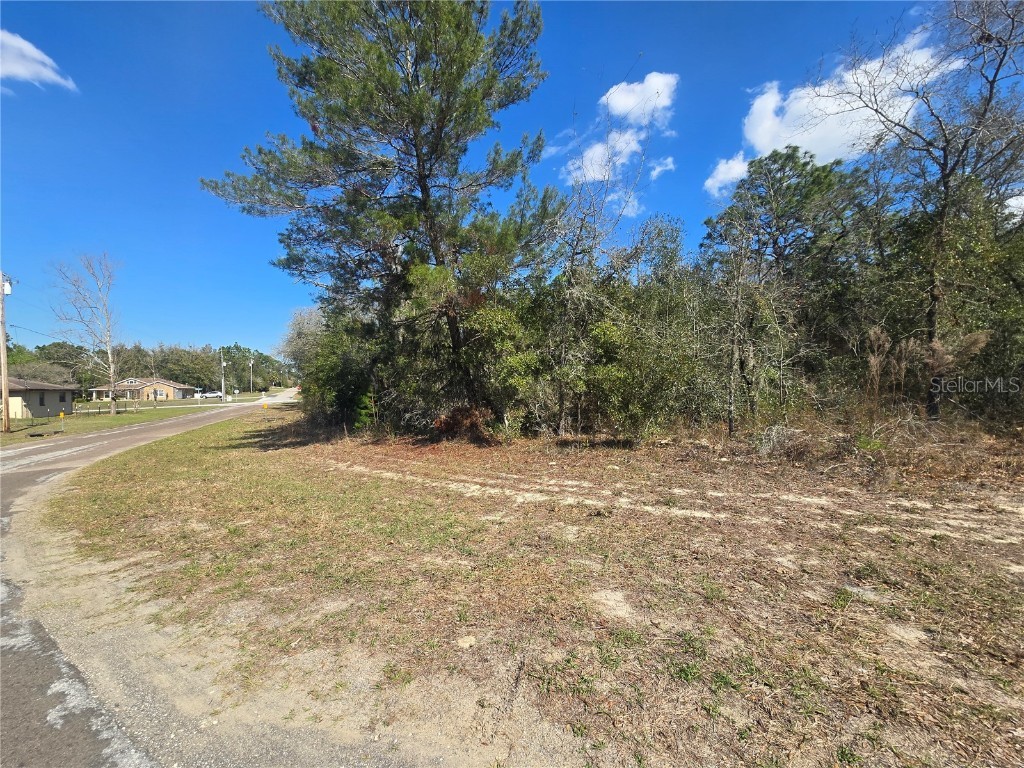 8365 N Ibsen Drive Citrus Springs FL 34433 OM696019 image2