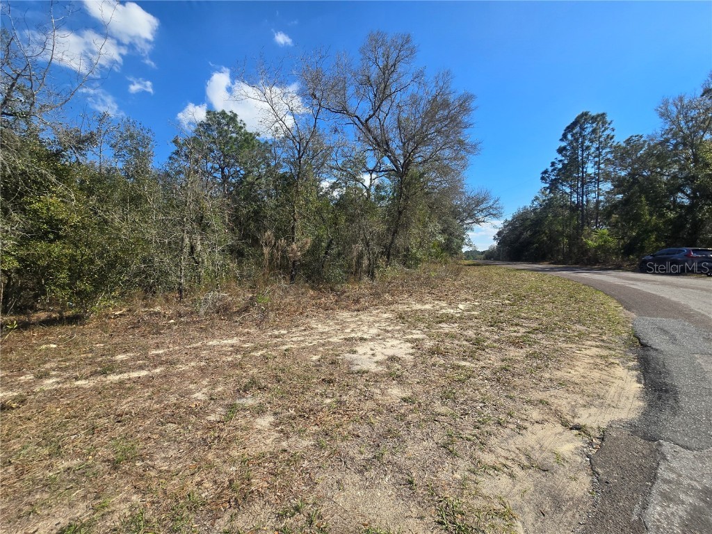 8365 N Ibsen Drive Citrus Springs FL 34433 OM696019 image3