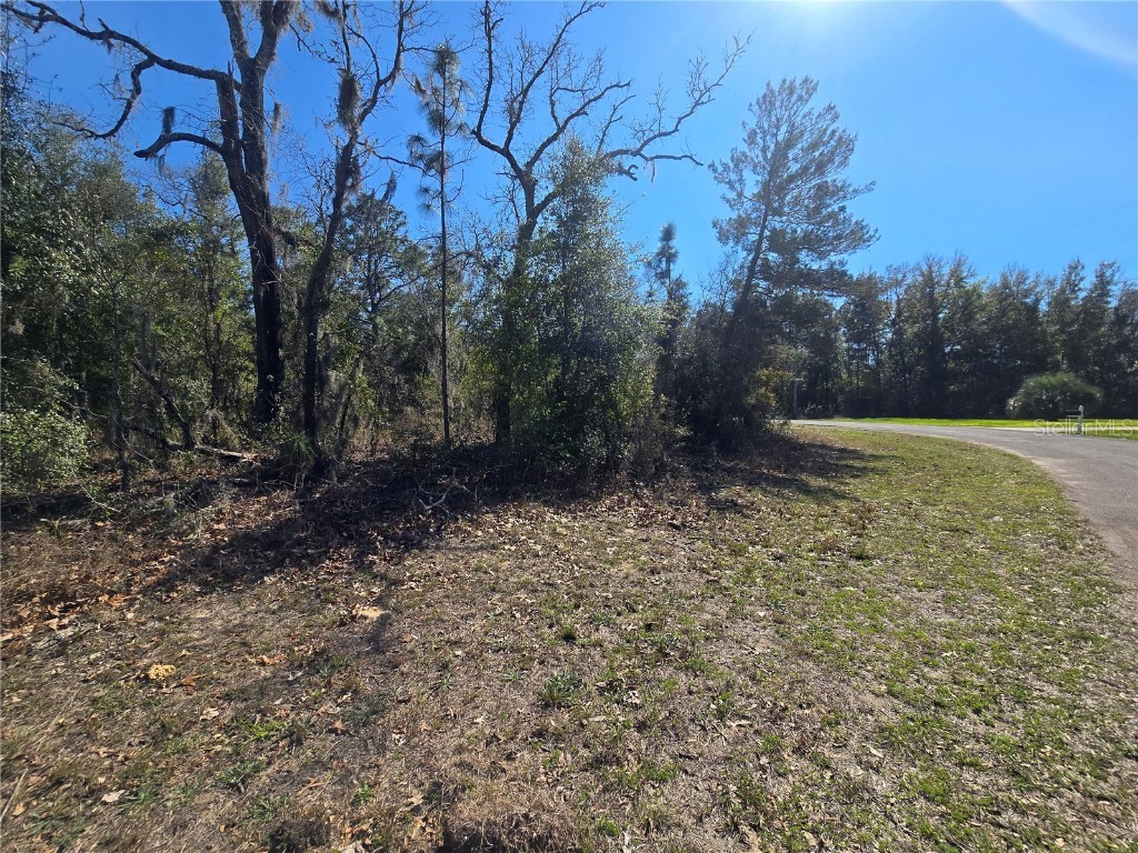 8365 N Ibsen Drive Citrus Springs FL 34433 OM696019 image4