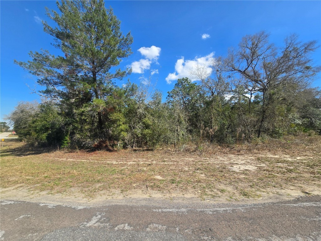 8365 N Ibsen Drive Citrus Springs FL 34433 OM696019 image5