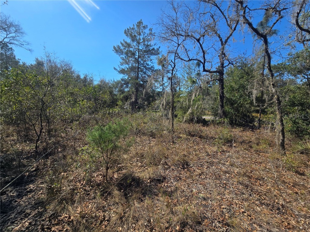 8365 N Ibsen Drive Citrus Springs FL 34433 OM696019 image8