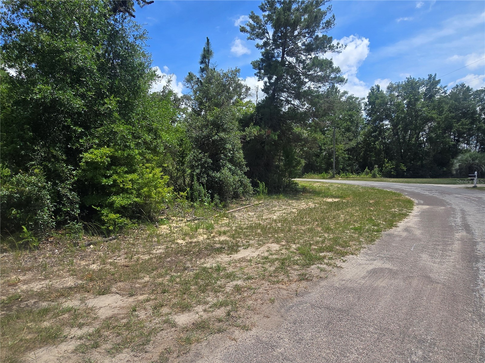 8365 N Ibsen Drive Citrus Springs FL 34433 OM726804 image1