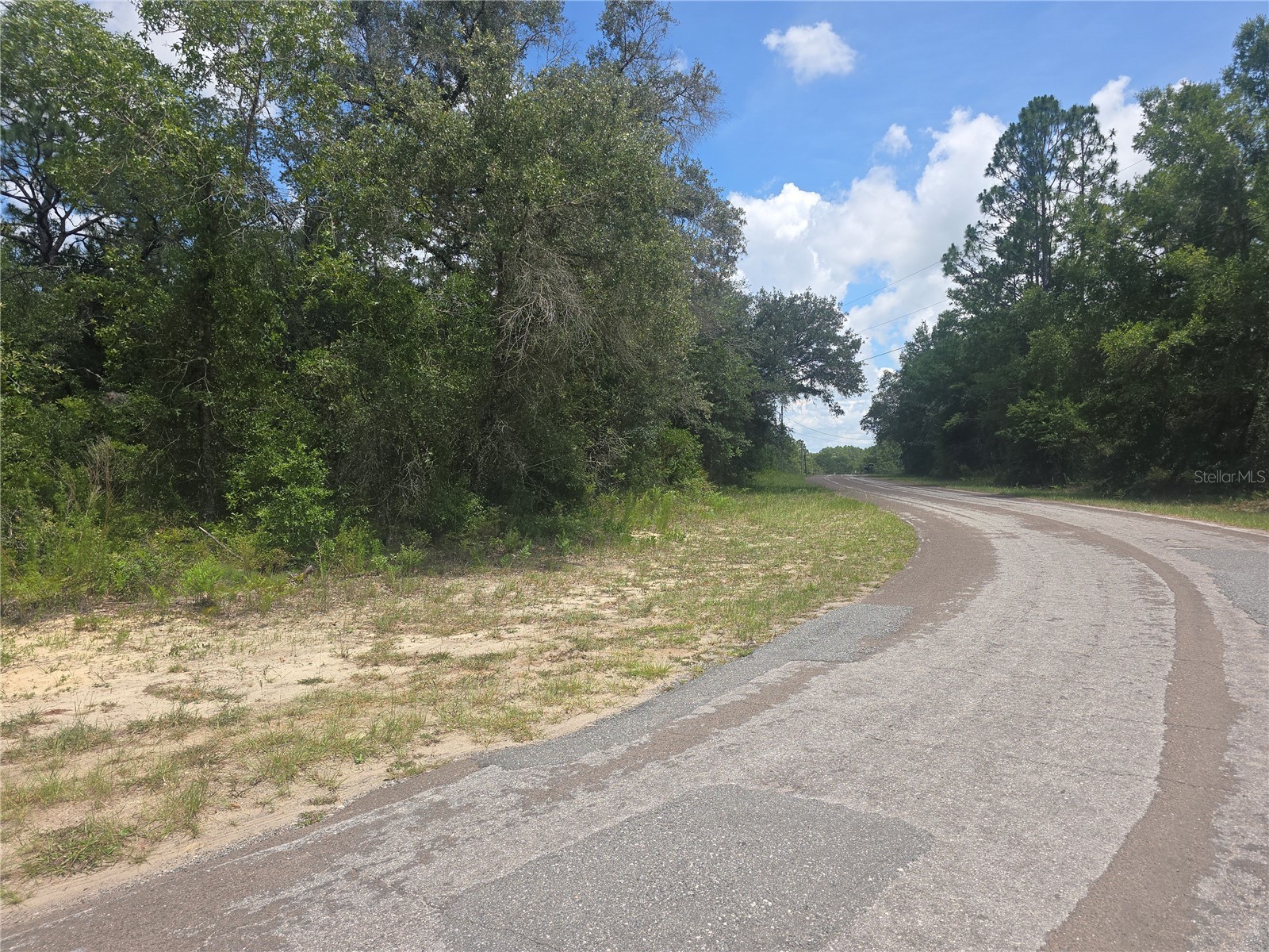 8365 N Ibsen Drive Citrus Springs FL 34433 OM726804 image11