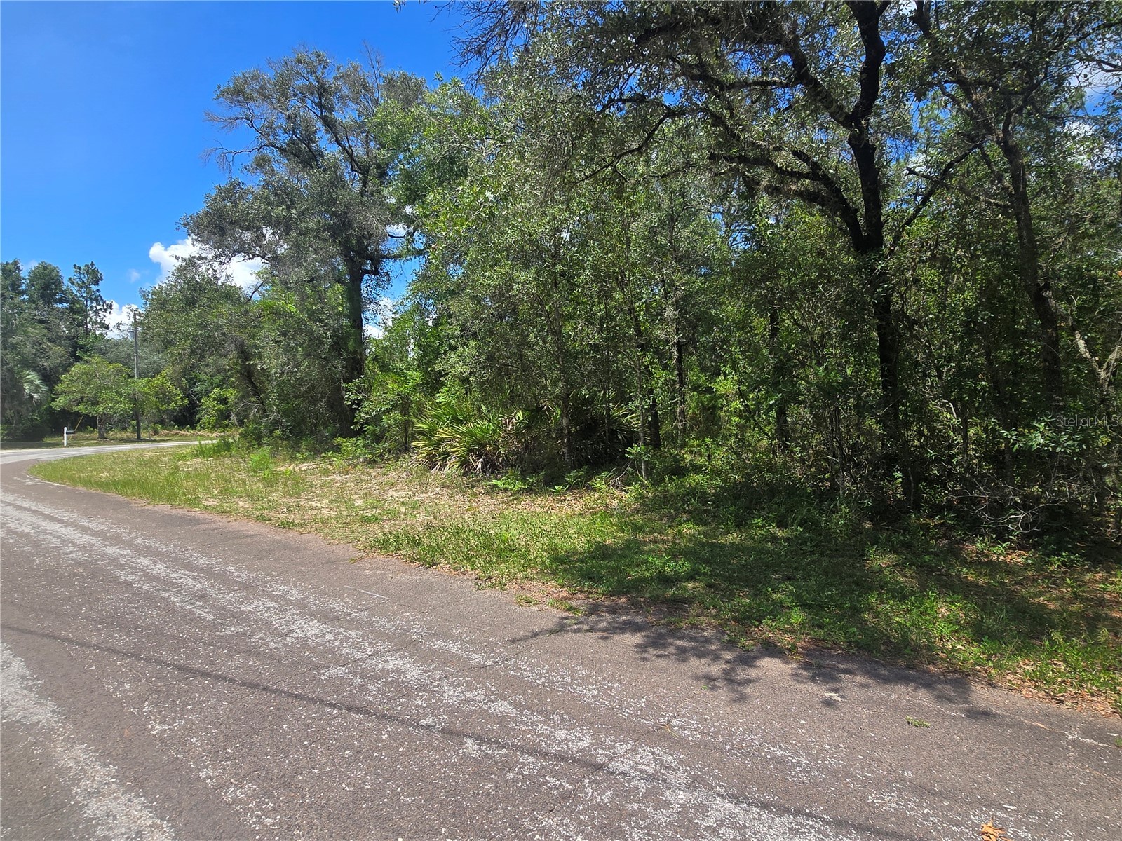 8365 N Ibsen Drive Citrus Springs FL 34433 OM726804 image2