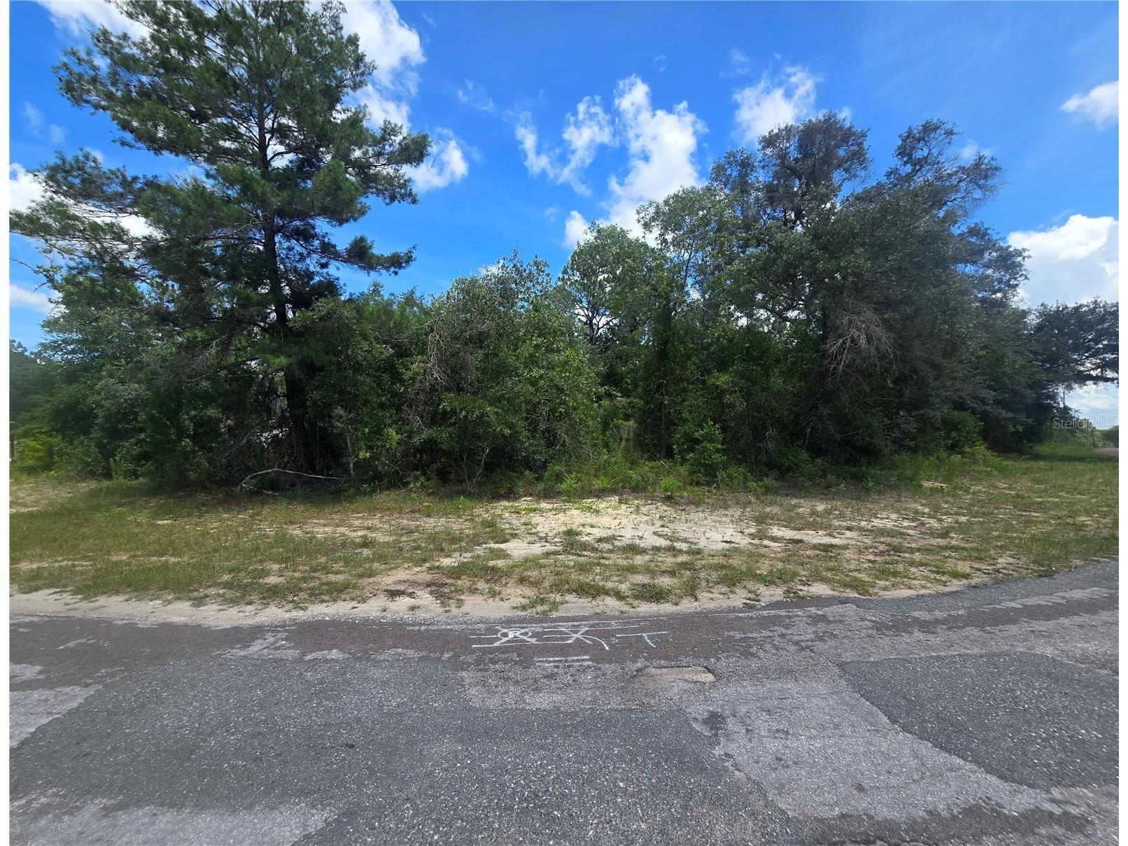 8365 N Ibsen Drive Citrus Springs FL 34433 OM726804 image3