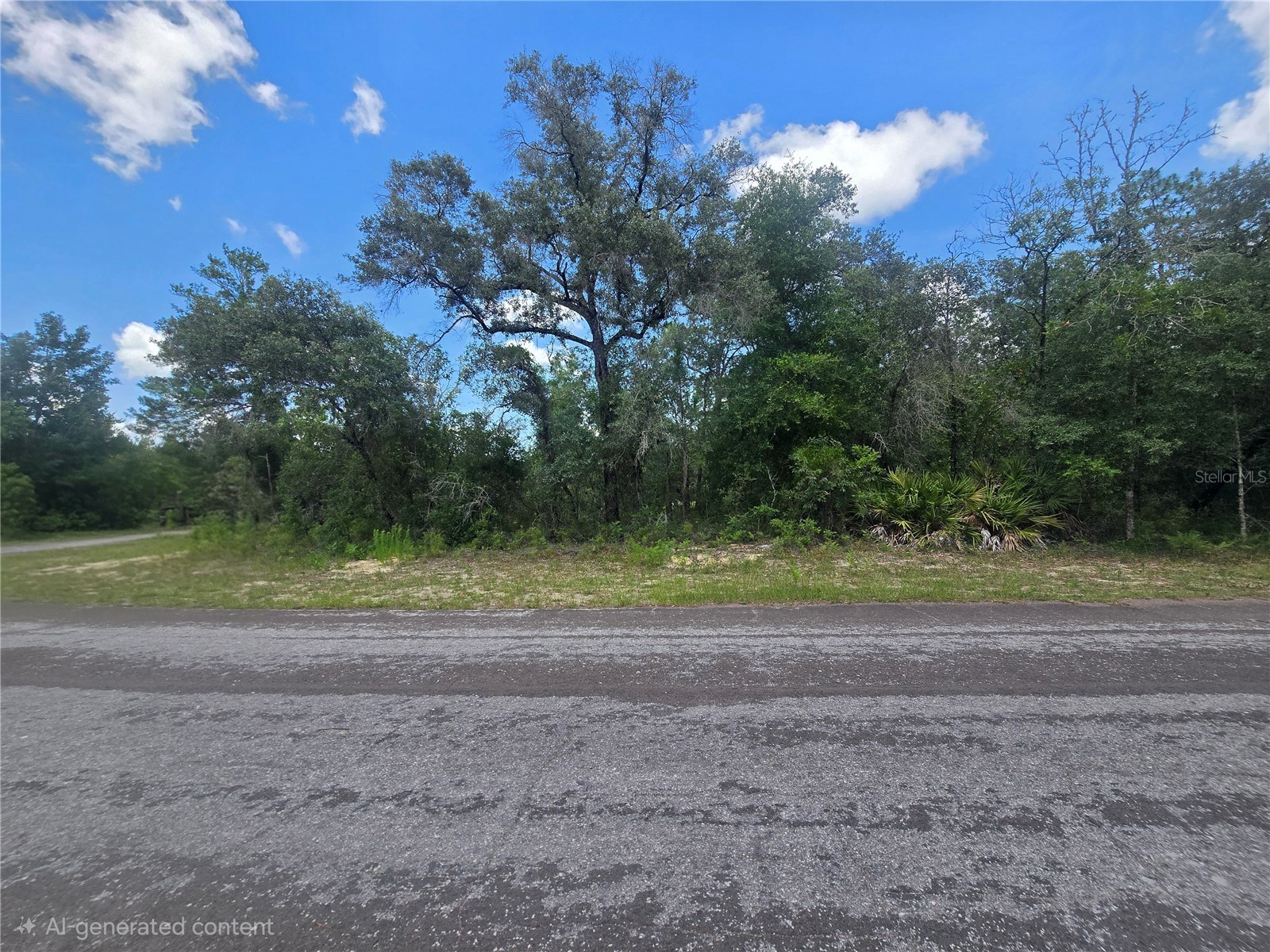 8365 N Ibsen Drive Citrus Springs FL 34433 OM726804 image4