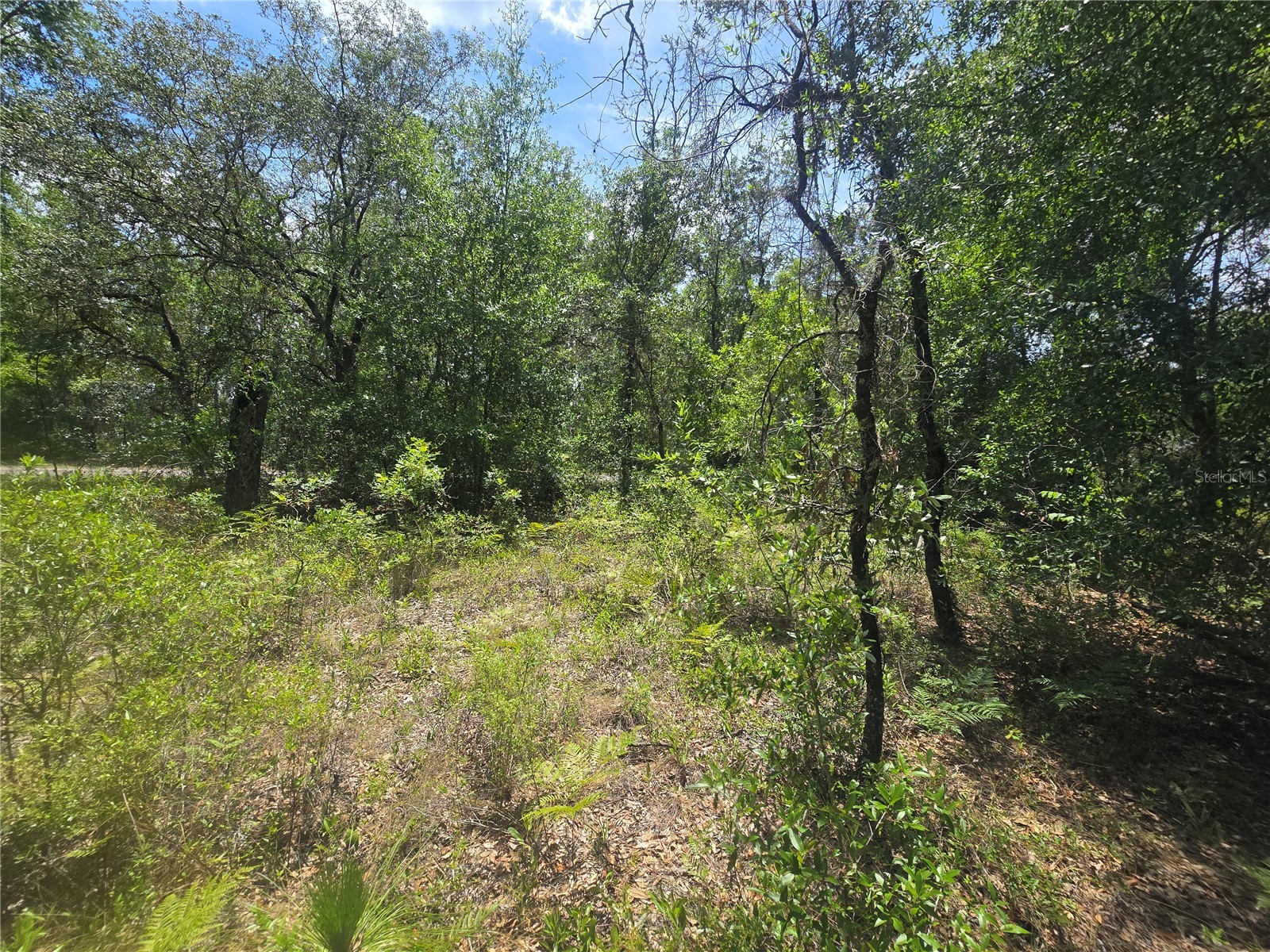 8365 N Ibsen Drive Citrus Springs FL 34433 OM726804 image6