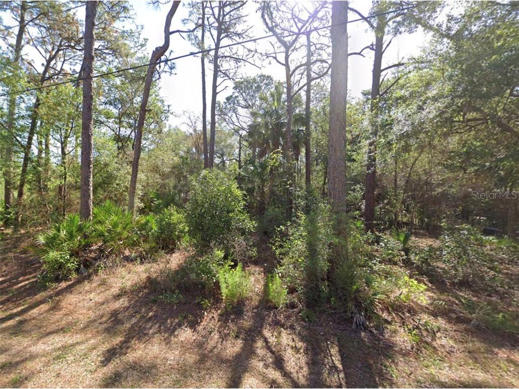 8367 N Firefly Terrace Crystal River FL 34428 OM713023 image4