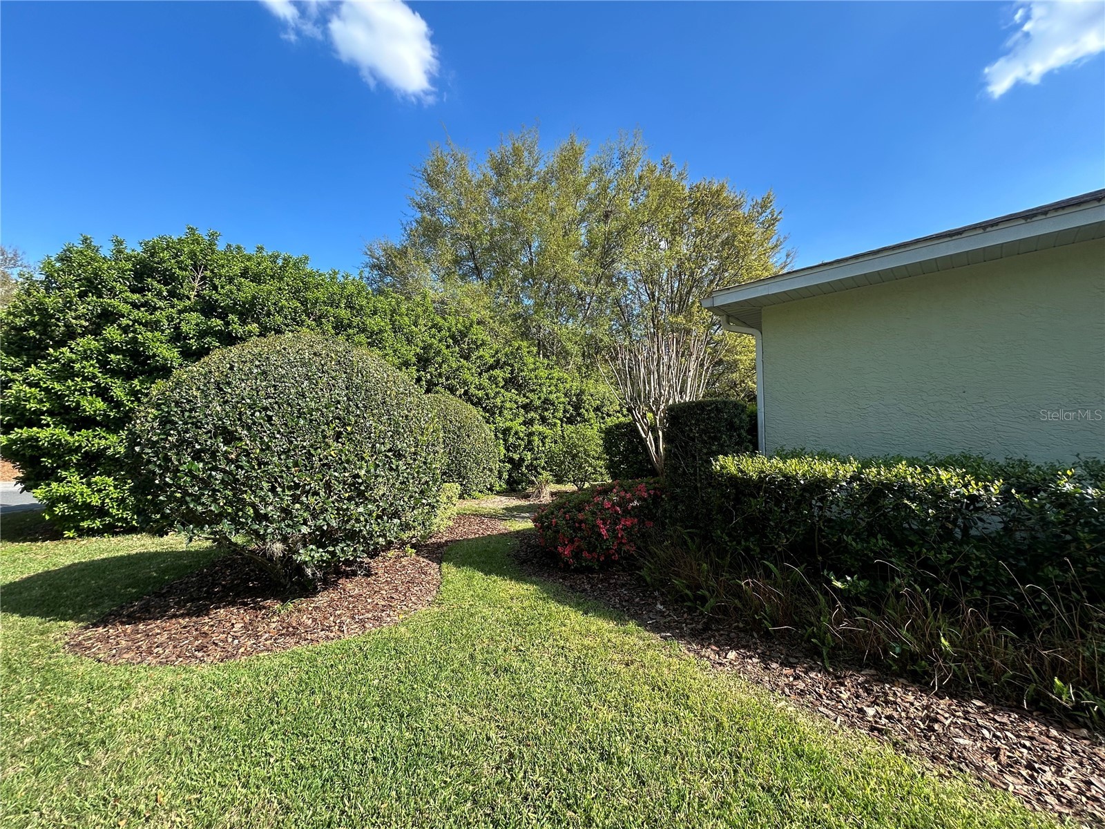 8368 SW 79th Circle Ocala FL 34476 OM714043 image41