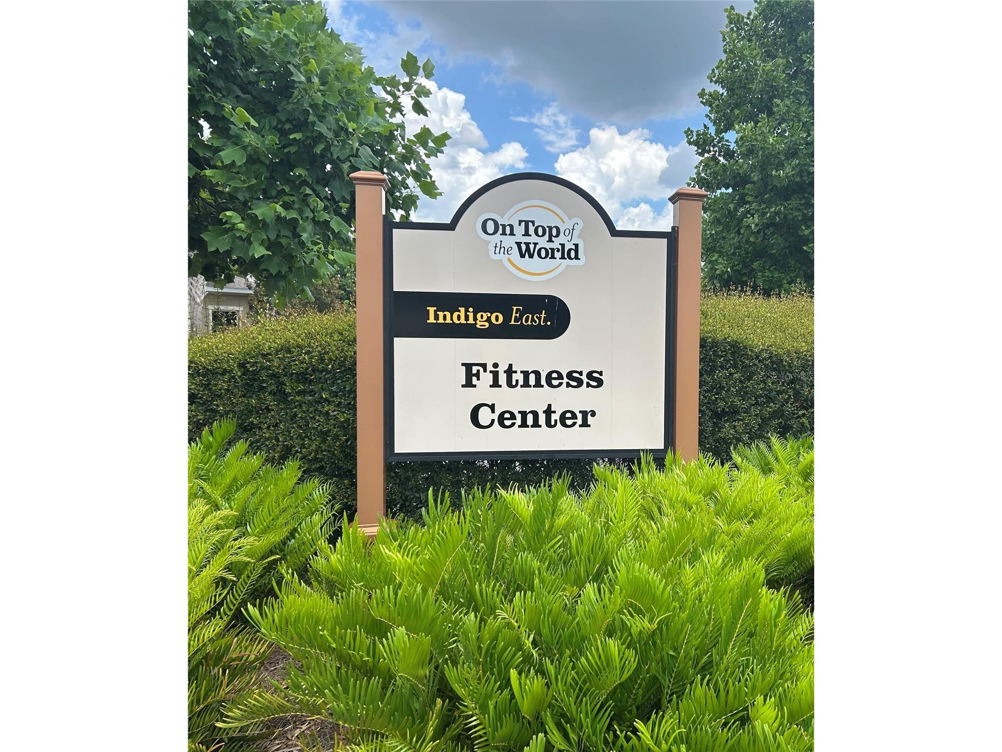 8368 SW 79th Circle Ocala FL 34476 OM714043 image43
