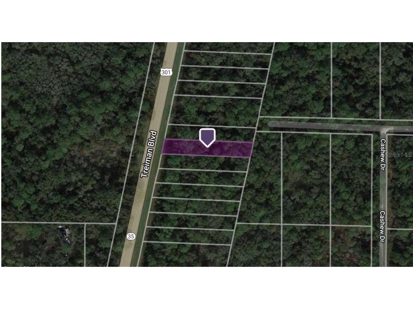 8368 Treiman Boulevard Webster FL 33597 C7474752 image1