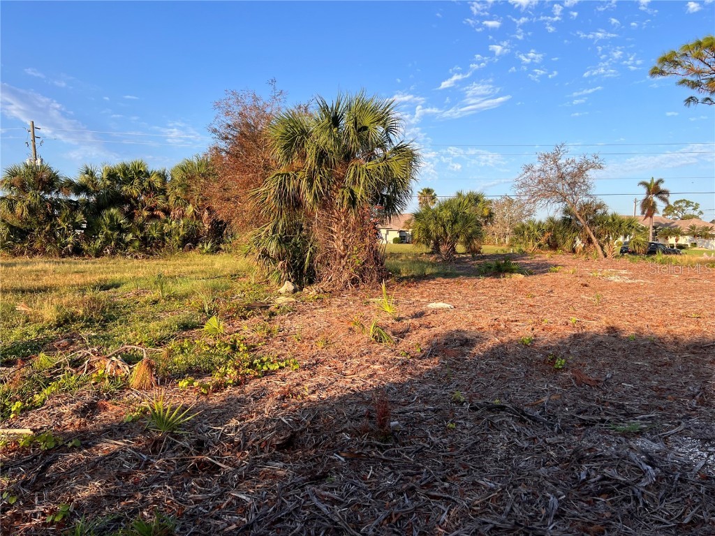 837 Boundary Boulevard Rotonda West FL 33947 D6138723 image10