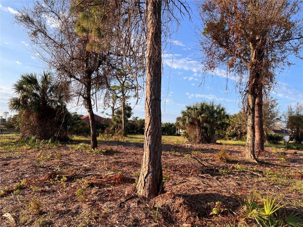 837 Boundary Boulevard Rotonda West FL 33947 D6138723 image12