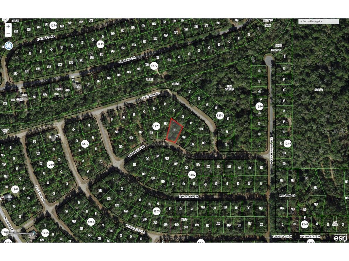 837 E Panama Drive Citrus Springs FL 34434 W7874937 image1