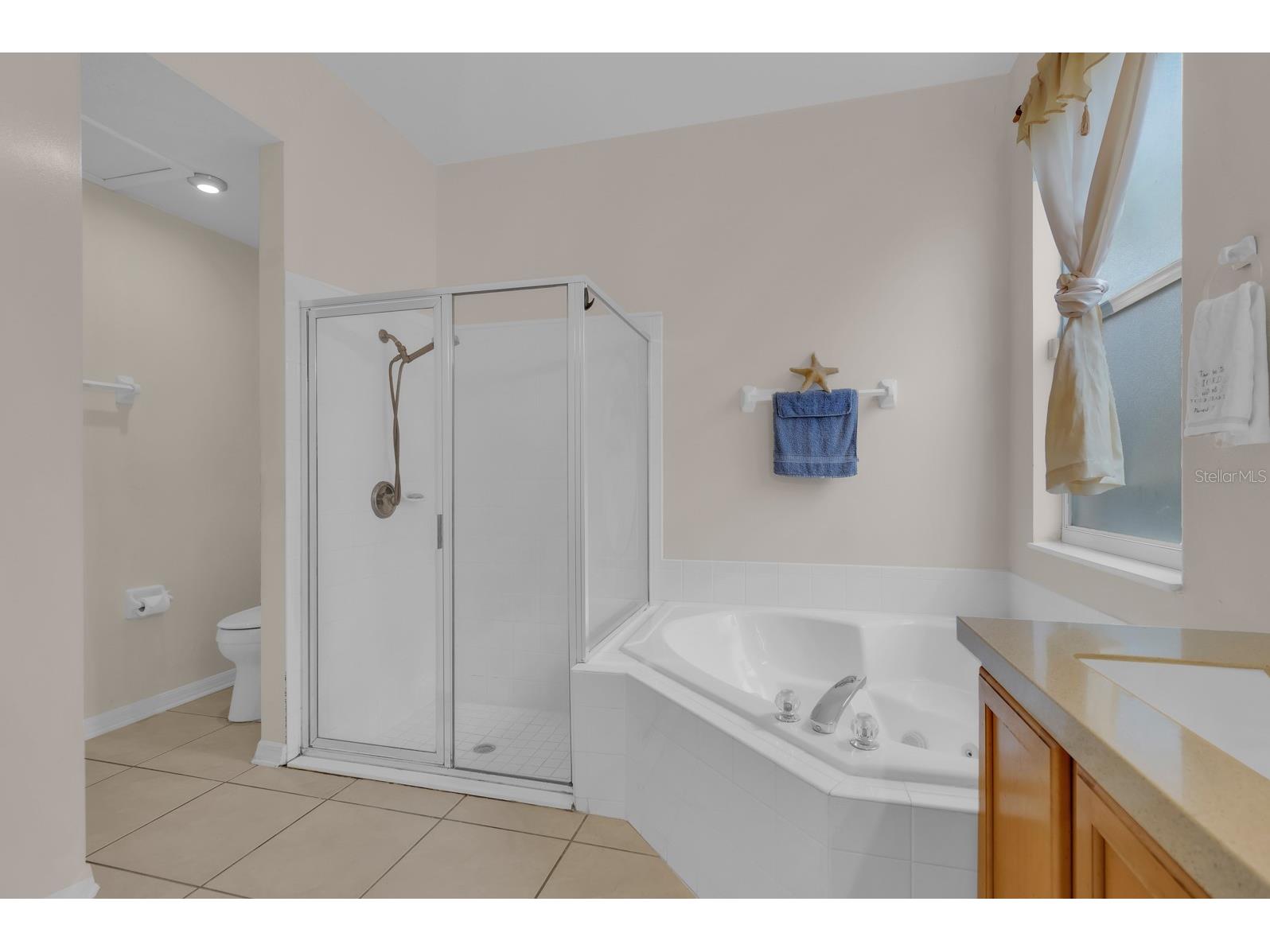 837 Jadestone Circle Orlando FL 32828 O6411425 image19