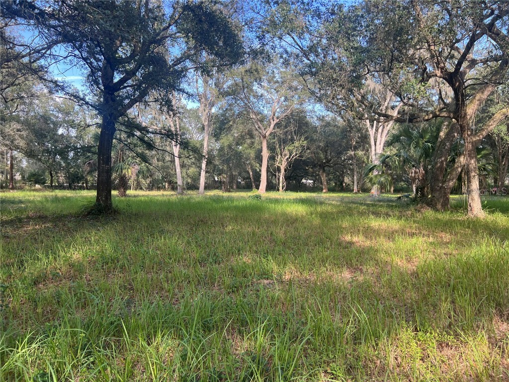837 Knights Griffin Plant City FL 33565 T3487903 image1