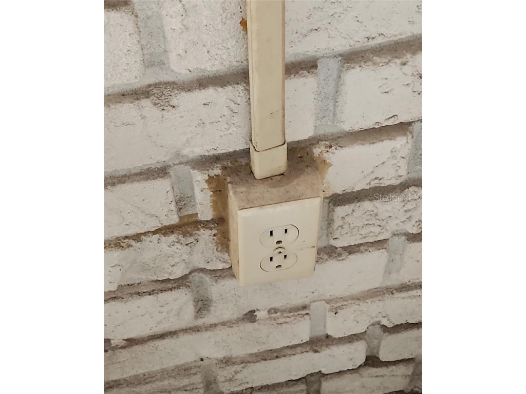 8370 13th Street N #A Saint Petersburg FL 33702 TB8451868 image13