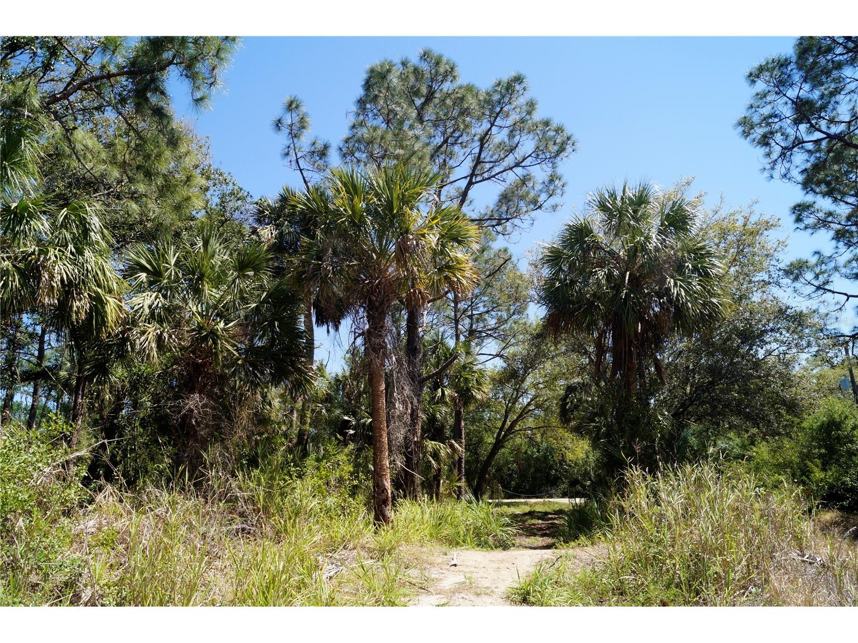 8370 Chorley Avenue North Port FL 34291 OM724262 image3