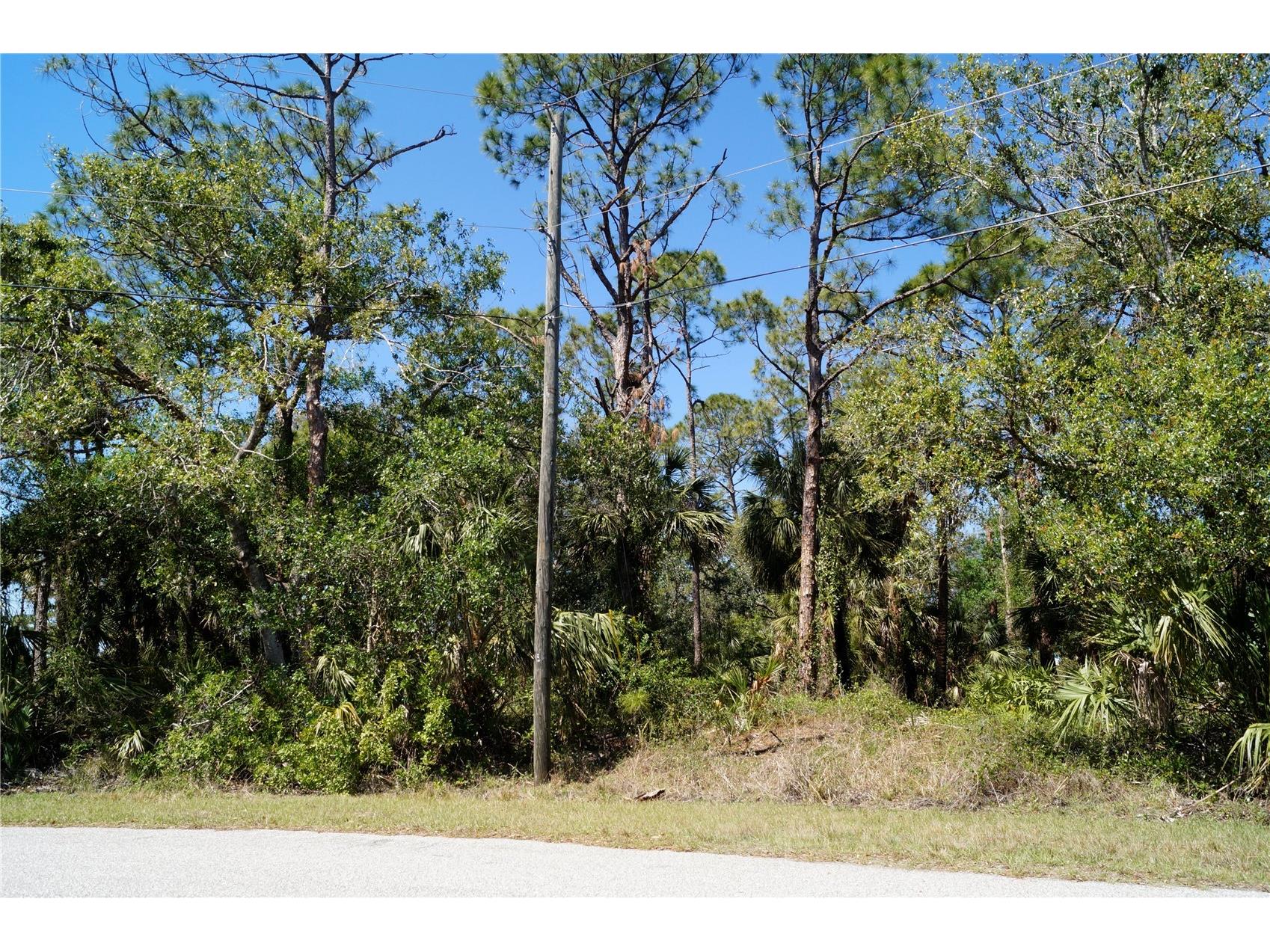 8370 Chorley Avenue North Port FL 34291 OM724262 image4