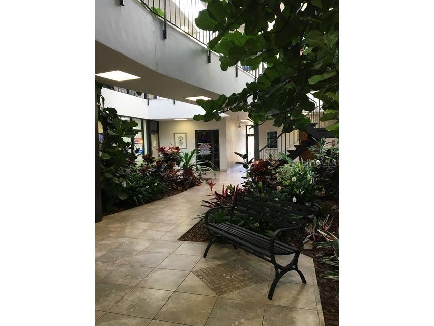 8370 W Hillsborough Avenue #206 Tampa FL 33615 TB8442411 image8