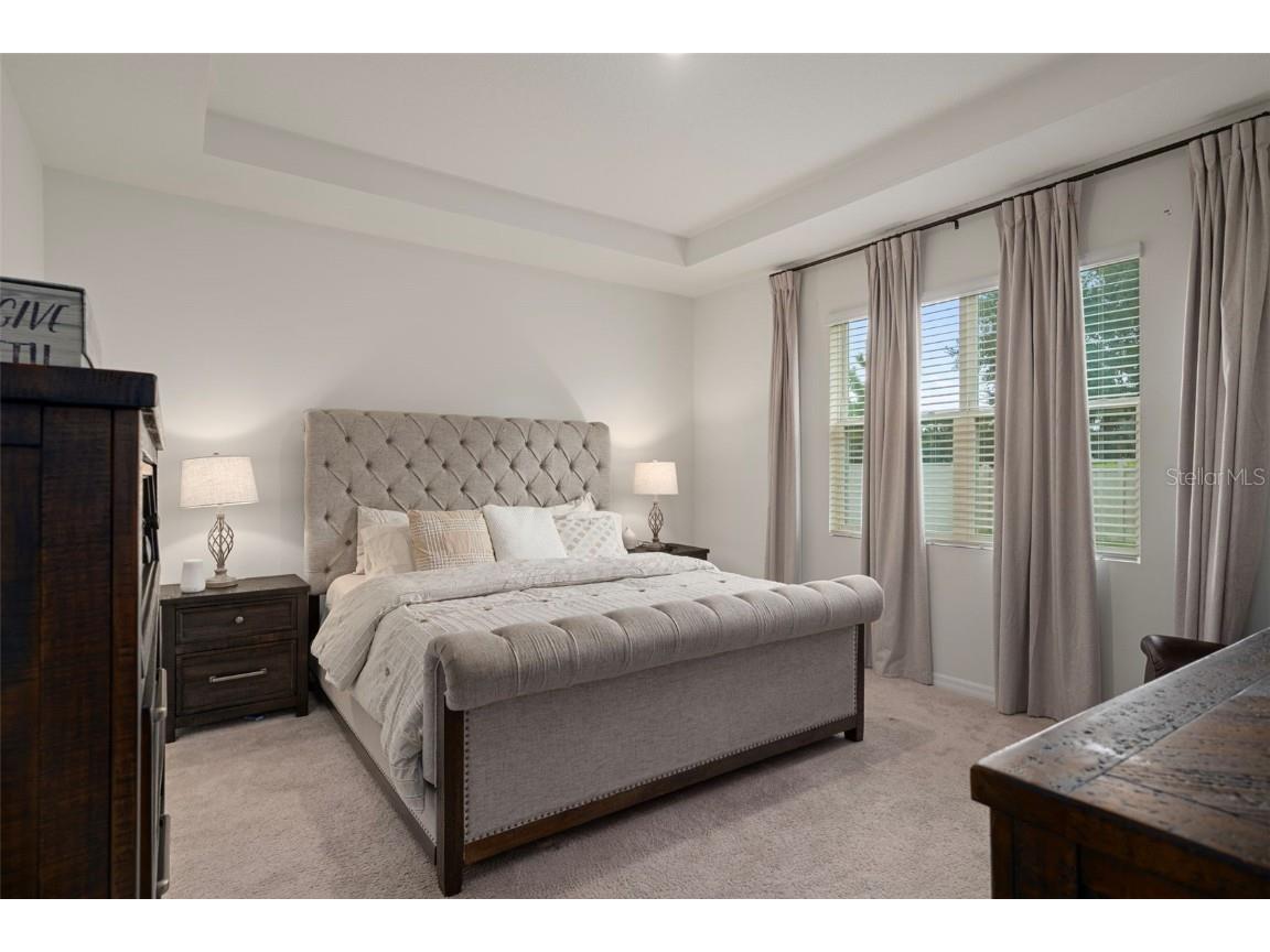 8370 Wheat Stone Drive Zephyrhills FL 33540 TB8418055 image24