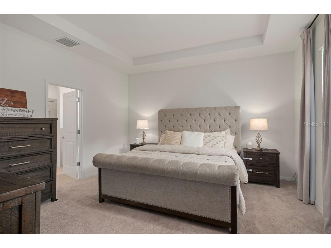 8370 Wheat Stone Drive Zephyrhills FL 33540 TB8418055 image25