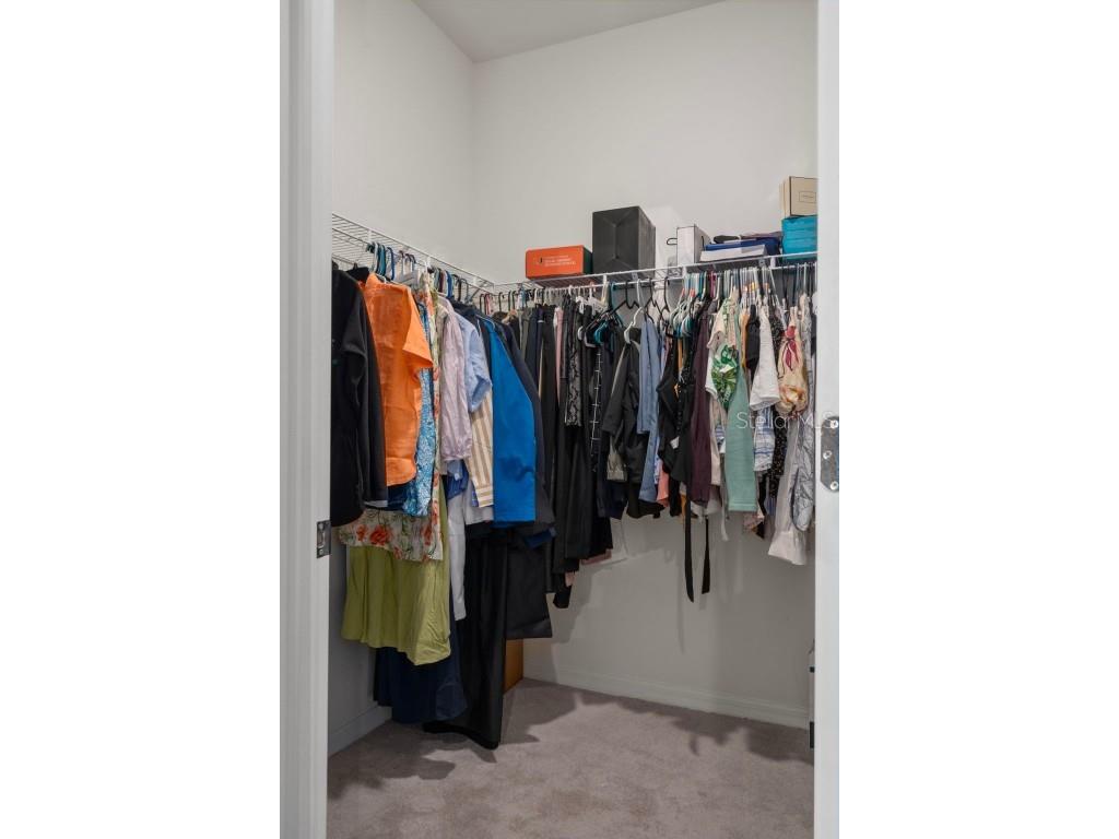 8370 Wheat Stone Drive Zephyrhills FL 33540 TB8418055 image27