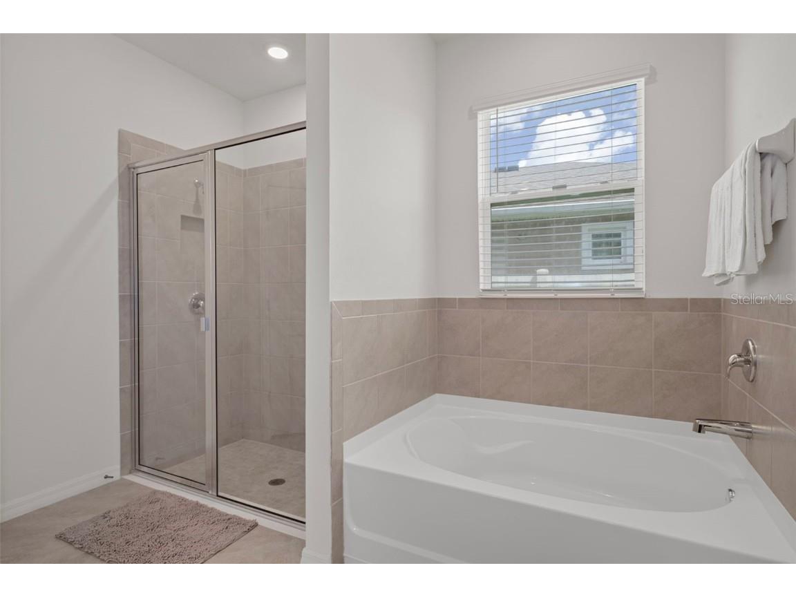 8370 Wheat Stone Drive Zephyrhills FL 33540 TB8418055 image29