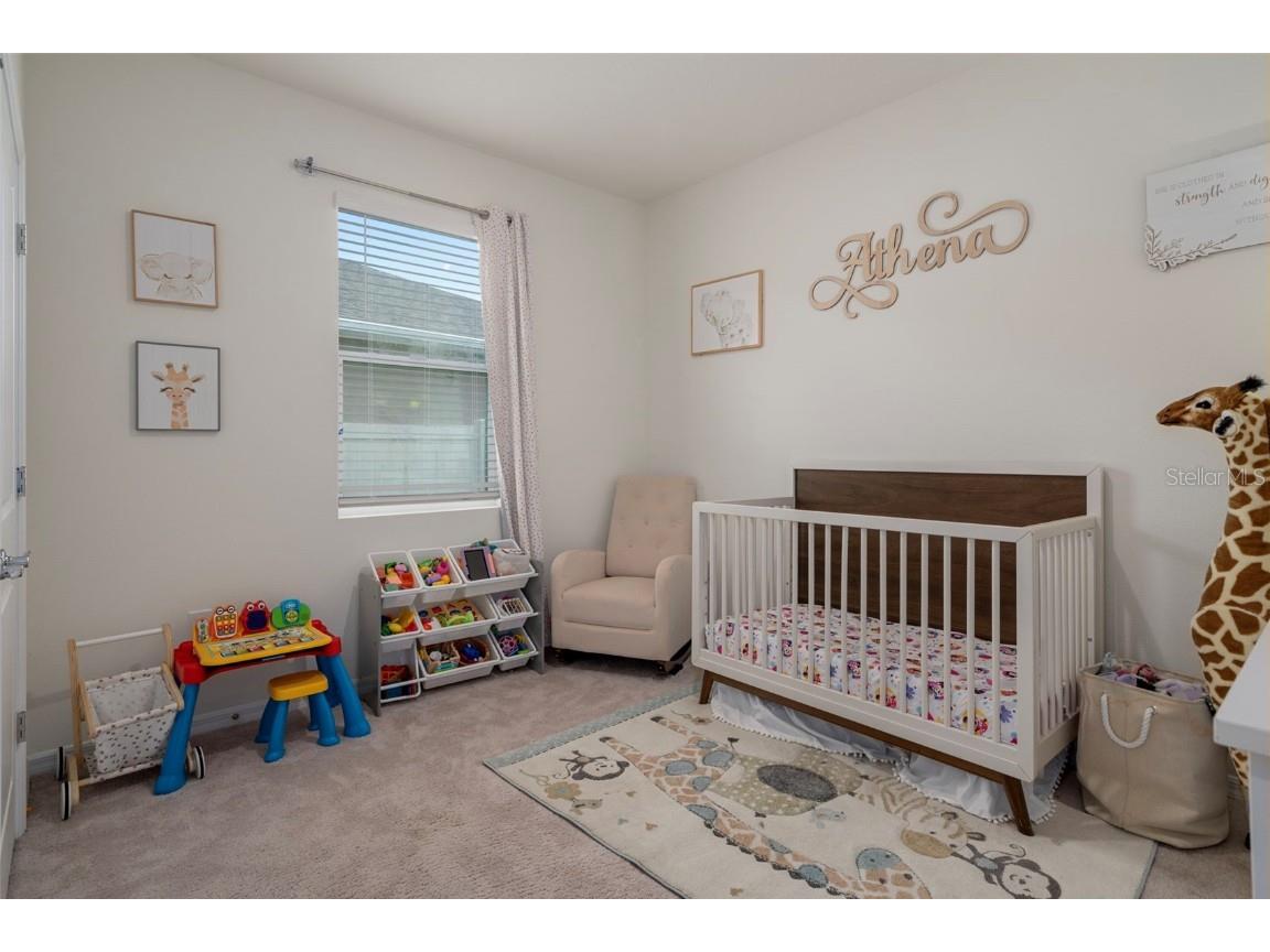 8370 Wheat Stone Drive Zephyrhills FL 33540 TB8418055 image31